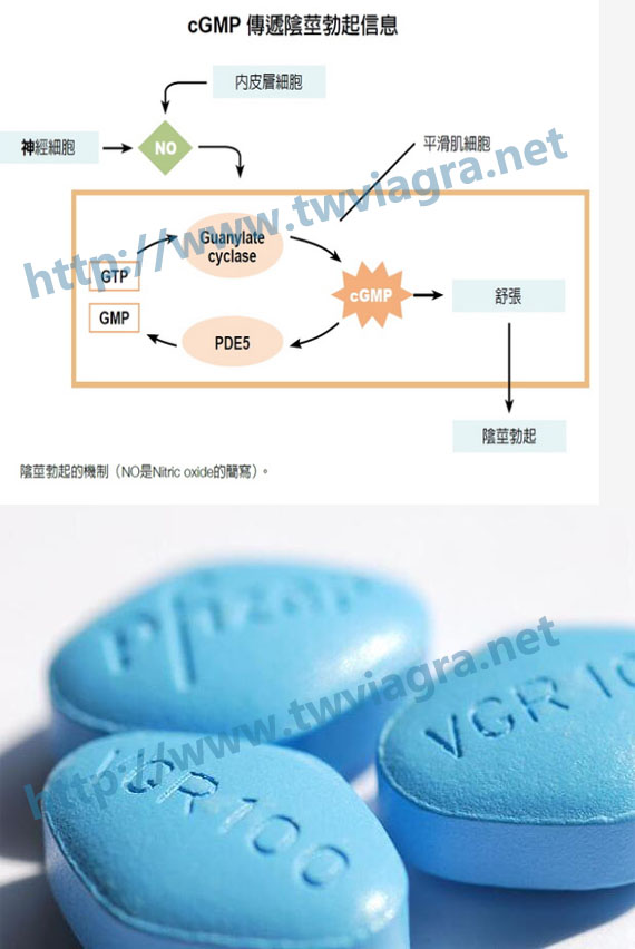 威而鋼藥效原理